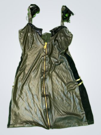 Black Leather Mini Dress