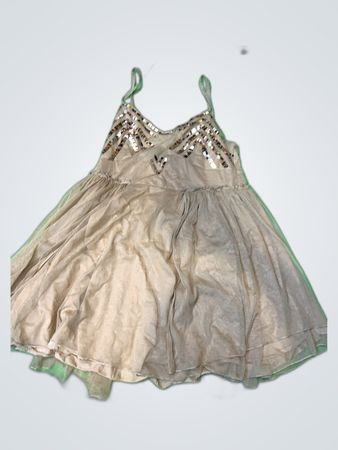Unbranded Sequin Embellished Mini Dress