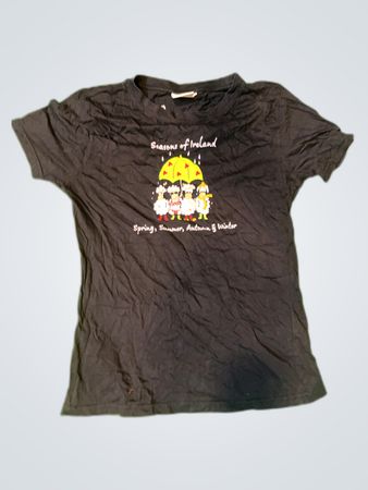 Seasons of Ireland T-Shirt