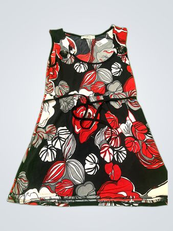 Bellami Paris Printed Sleeveless Mini Dress