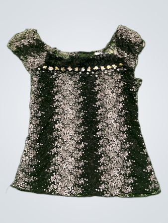 Unbranded Sheer Sequined Lace Blouse