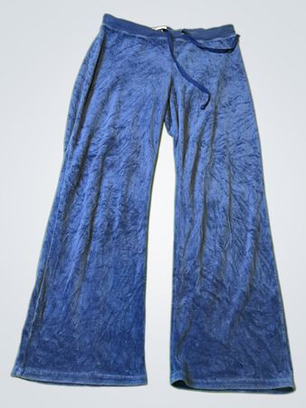 Blue Velvet Pants