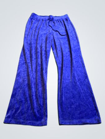 Juicy Couture Blue Velour Track Pants