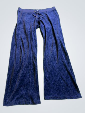 Blue Flare Leg Pants