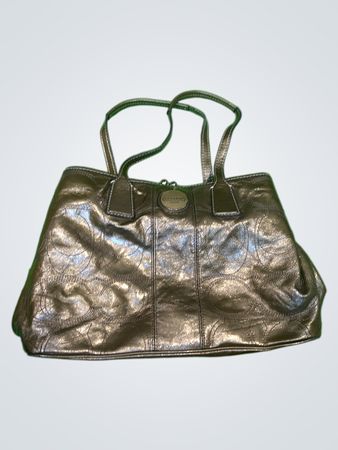 Coach Metallic Brown Handbag