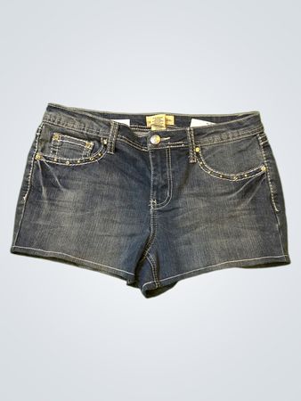 Upcycled Earl Jean Denim Shorts