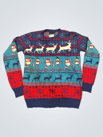 Raisevern Weihnachts Pullover