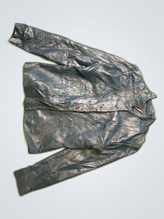 Margaret Godfrey Metallic Button-Up Shirt