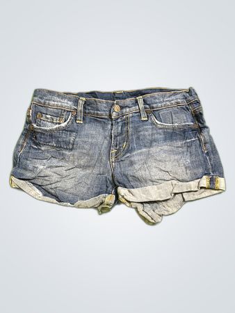 True Religion Denim Shorts