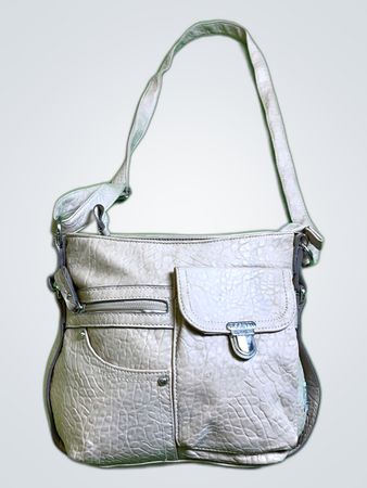 Rosetti Beige Textured Small Handbag