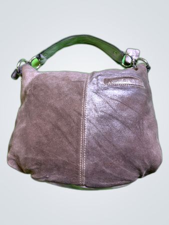 Coach Metallic Suede Small Handbag