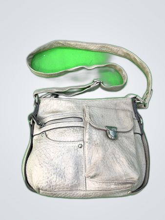 Rosetti Taupe Leather Shoulder Bag