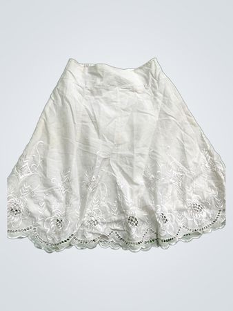 Mirelel Embroidered Mini Skirt
