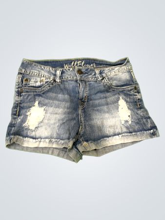 Wallflower Denim Shorts