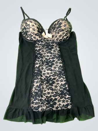 Lace and Mesh Bustier