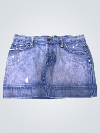Arden B. Denim Skirt