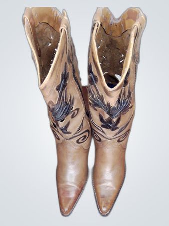 Tan Embroidered Cowboy Boots