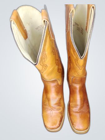 Dingo Tan Leather Cowboy Boots