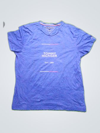 Tommy Hilfiger Blue T-Shirt