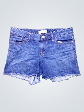Express Denim Shorts