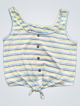 Caution to the Wind Striped Crop Top