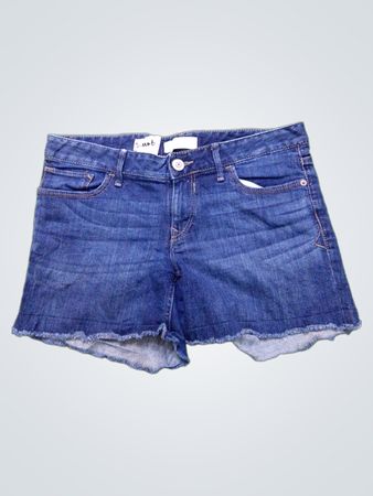 Express Jeans Denim Shorts