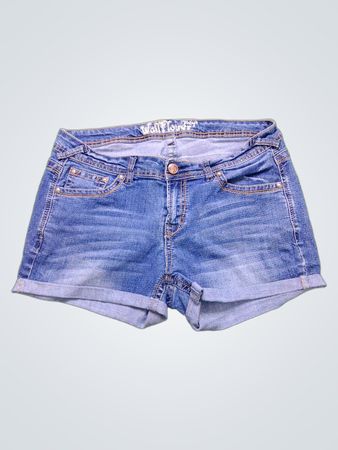 Wall Flower Denim Shorts
