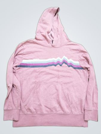 Patagonia Pink Graphic Hoodie