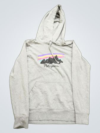 Patagonia Organic Cotton Hoodie