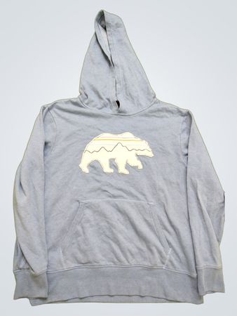Patagonia Bear Graphic Hoodie