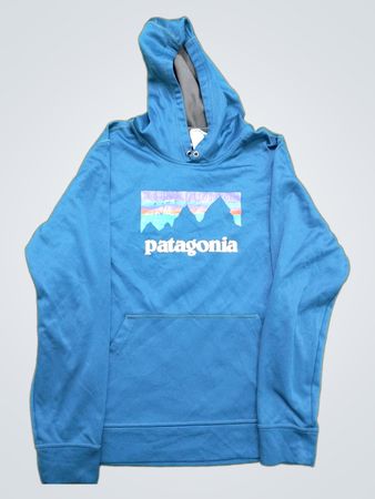 Patagonia Blue Hoodie with Mountain Graphic