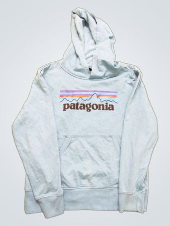 Patagonia Hoodie