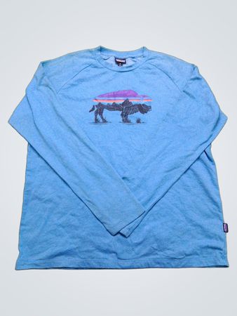 Patagonia Organic Cotton Long Sleeve T-Shirt