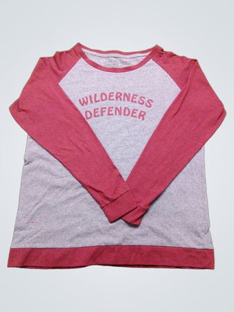 Patagonia Wilderness Defender Raglan T-Shirt