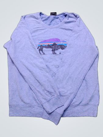 Patagonia Organic Cotton Bison Graphic Long Sleeve Sweatshirt