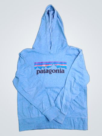 Patagonia Blue Hoodie