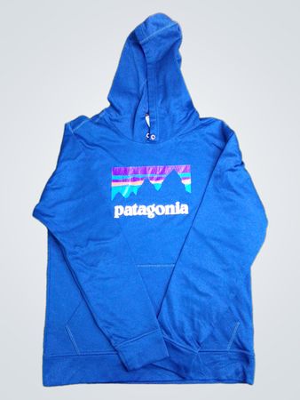 Sweat à capuche Patagonia Bleu