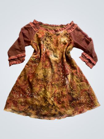 Brown and Gold Paisley Dress