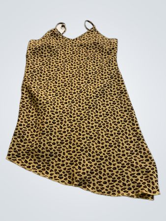 Leopard Print Dress