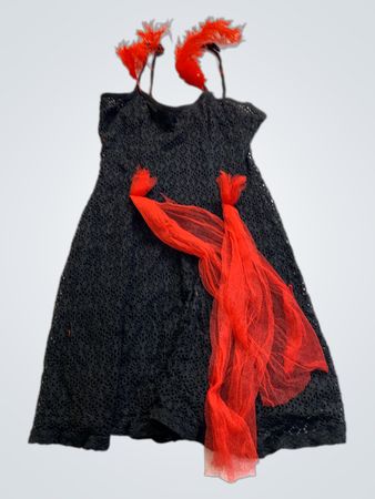 Black Dress with Red Tulle and Feathers