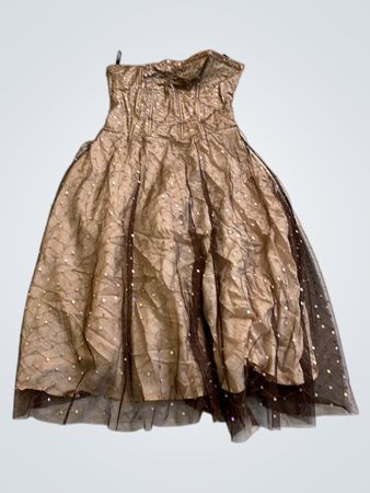 Gold Sequined Dress