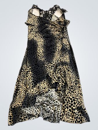 Animal Print Dress
