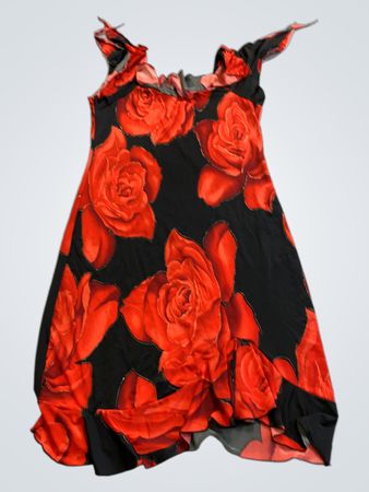Black Rose Print Mini Dress