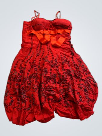 Red Floral Dress
