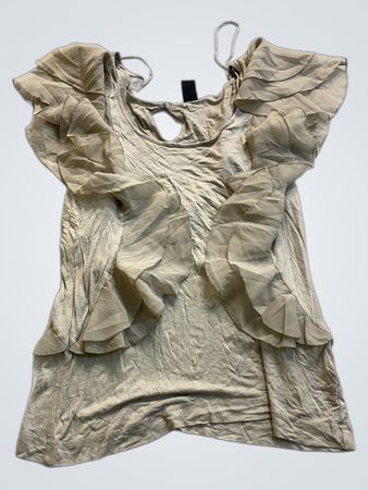 Ruffled Tan Blouse