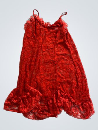 Unbranded Red Lace Slip Dress
