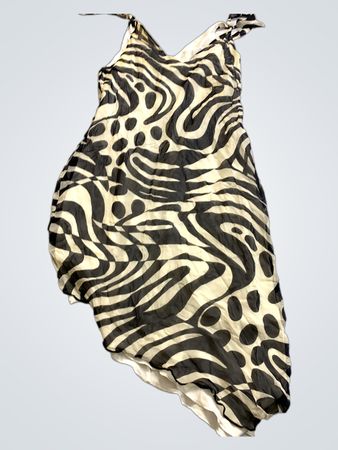 Zebra Print Dress