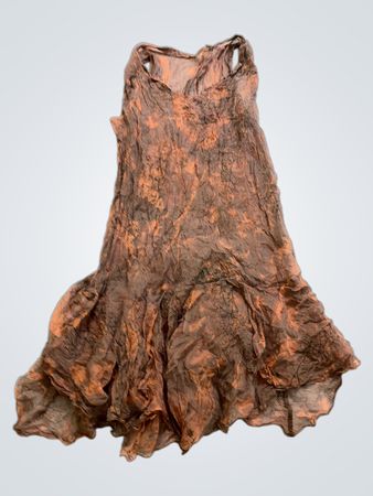 Brown Dress