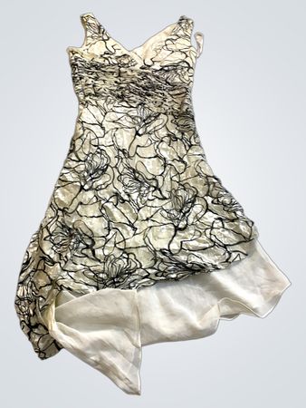 emma somerset Dress
