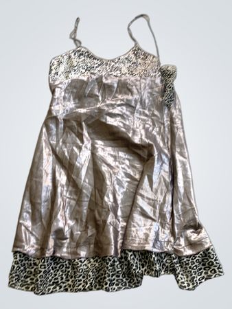 Silver Satin Nightgown with Leopard Trim